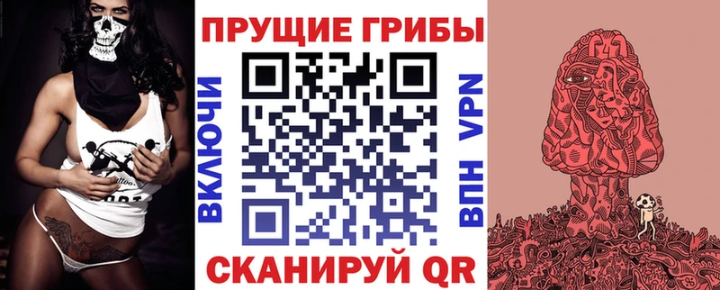 Псилоцибиновые грибы Cubensis  Чаплыгин 